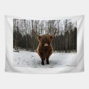 Scottish Highland Cattle Cow 2250 Tapestry