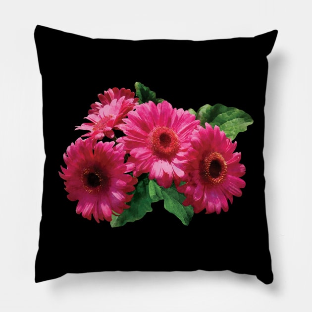 Daisies - Dark Pink Gerbera Daisies Pillow by SusanSavad