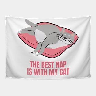 The Best Nap Is With My Cat Fun Design for Cat Lovers Tapestry