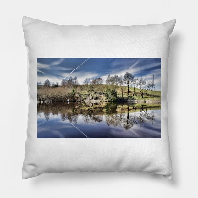 Healey Dell Pool Pillow by avrilharris