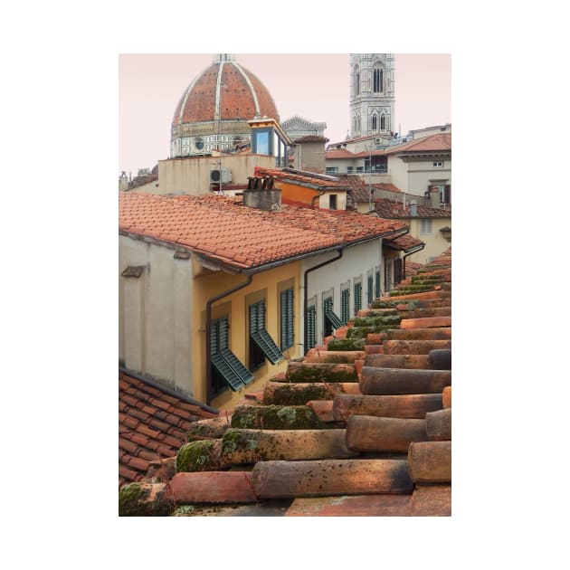 From my Window, Florence by rozmcq