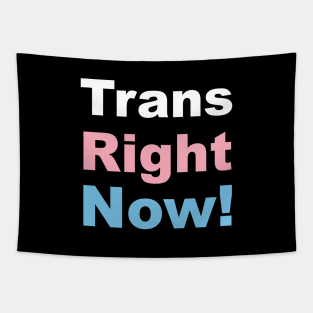 Trans Right Now! Transgender Rights Tapestry