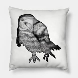 Raven Pillow