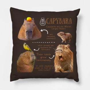 Animal Facts - Capybara Pillow