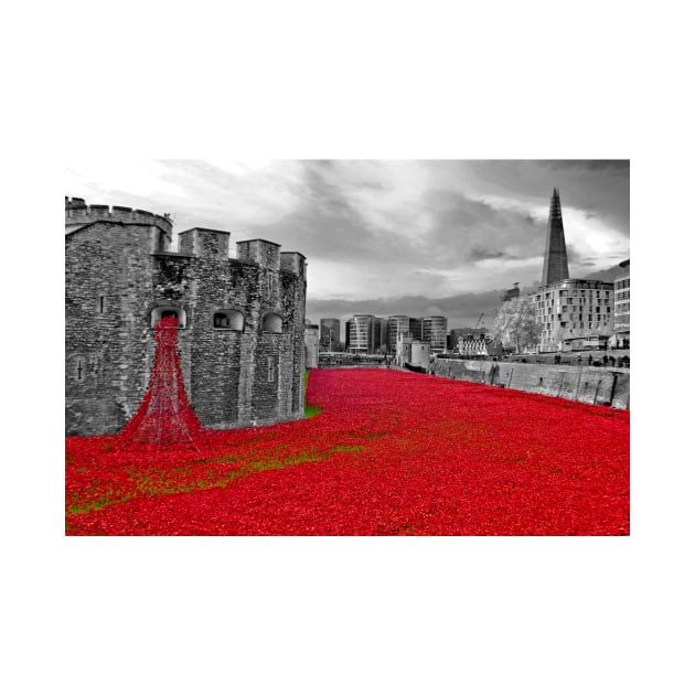 Tower of London Red Poppy by AndyEvansPhotos