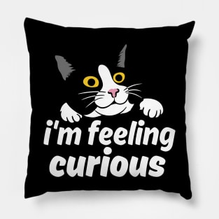 I'm Feeling Curious Pillow