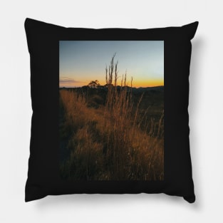 Sunset in Brazilian National Park (Chapada dos Veadeiros, Goias) Pillow