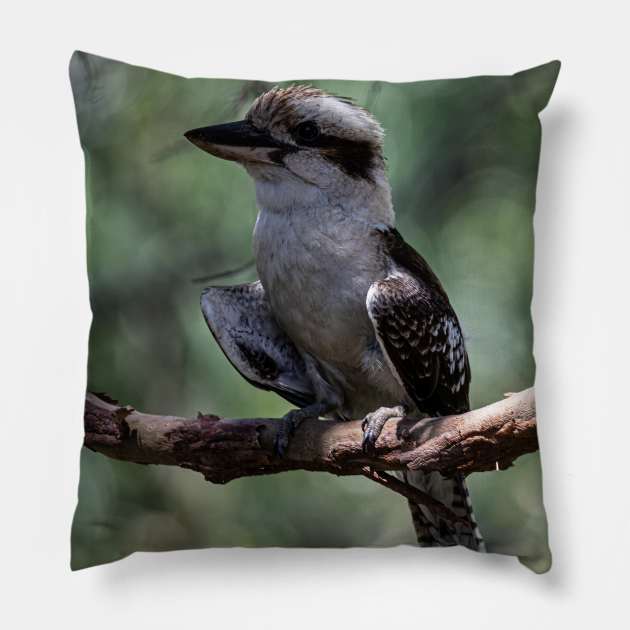 Cheeky Kookaburra Pillow by Memories4you