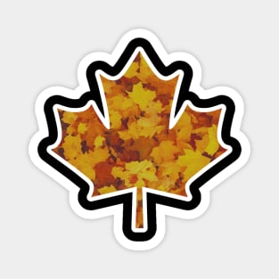 maple leaf autumn/fall season Magnet