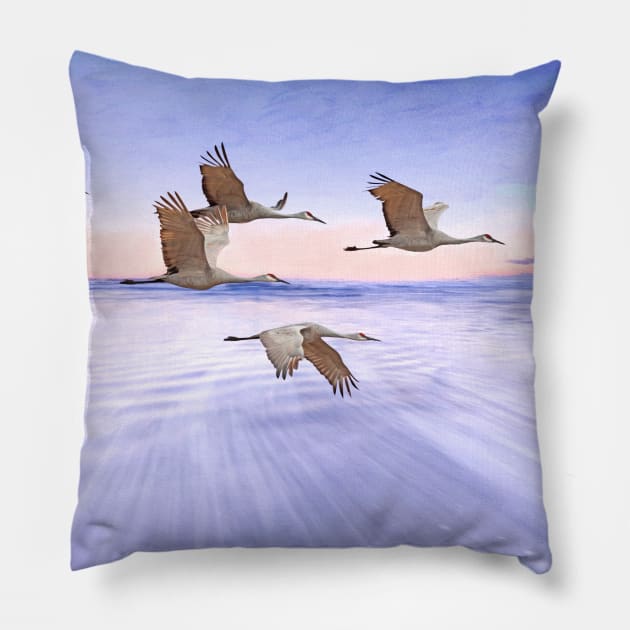 Sandhill Crane and Purple Sunset Pillow by lauradyoung