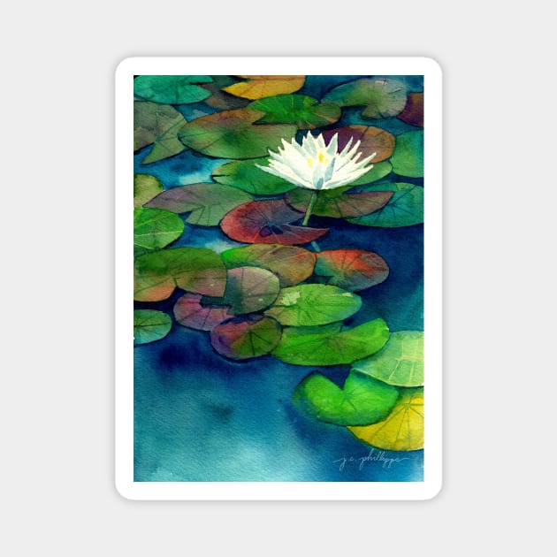 Saturday Lilypads Magnet by JCPhillipps