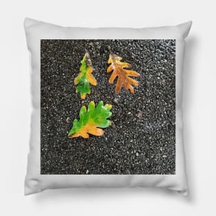 Rainy Leaves on Black Terrazzo Background Pillow