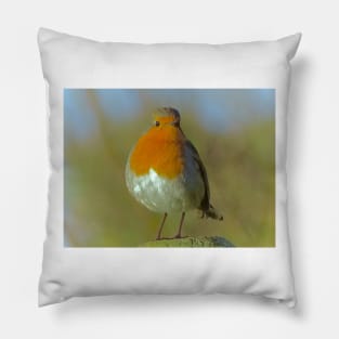 ROBIN REDBREAST Pillow