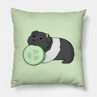 Guinea Pig Eating Cucumber Pillow