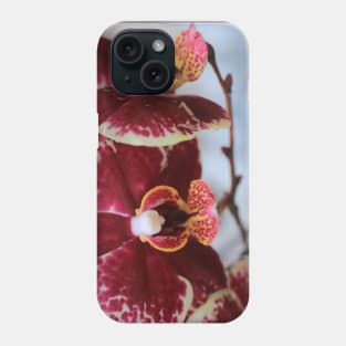 Orchid on the move Phone Case