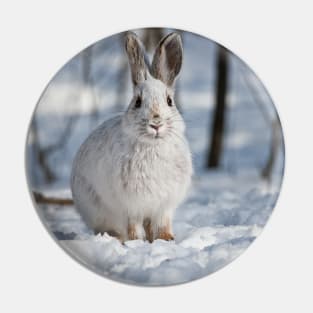 Snow Shoe Hare Pin