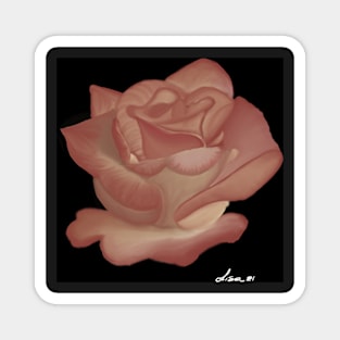 Pink rose on black Magnet