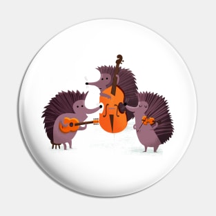 Hot club de Hedgehog Pin