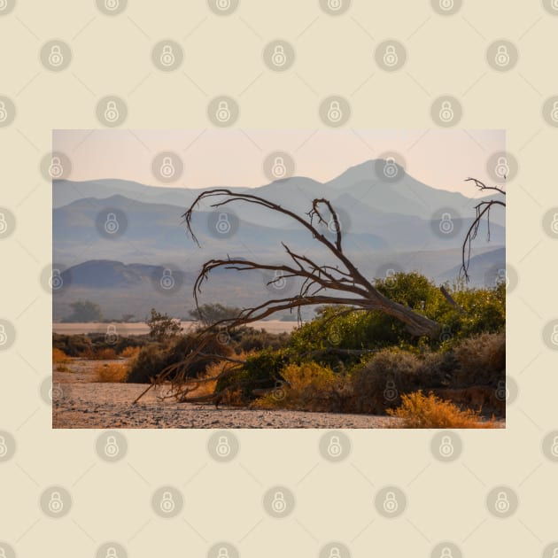 Namibia. Dead Tree with the Mountain Silhouettes. by vadim19