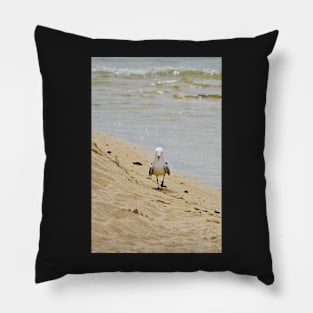 Taking a stroll on the beach Pillow