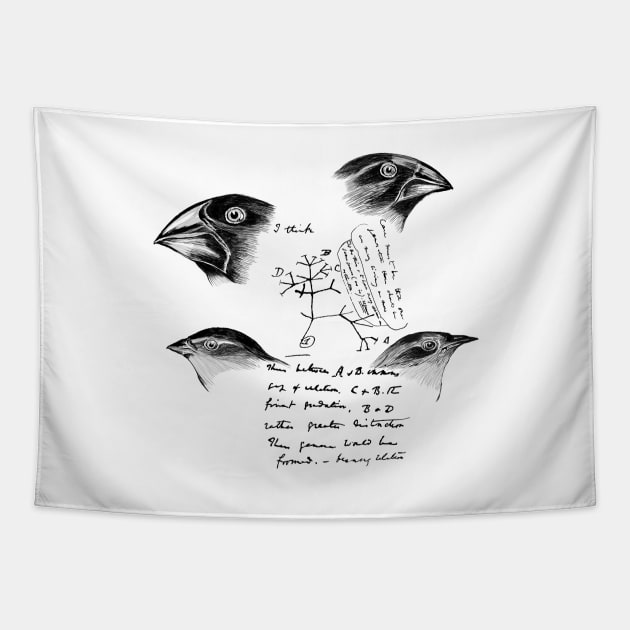 Darwin’s Finches Tapestry by hereticwear