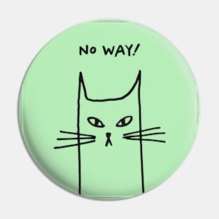 Cat facial expressions: no way Pin