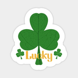 Saint Patrick Day Magnet