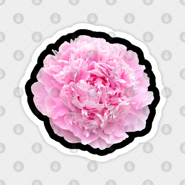 Pretty Pink Peony Flower for your Hydro Flask Magnet by GregFromThePeg