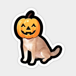 labrador retriever is a Jack-o-Lantern Magnet