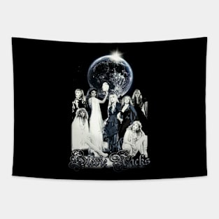 Stevie Nicks Vintage Rock Music Tapestry