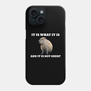 It Is What It Is And It Is Not Great Capybara Phone Case