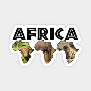 Africa Wildlife Continent Trio Magnet