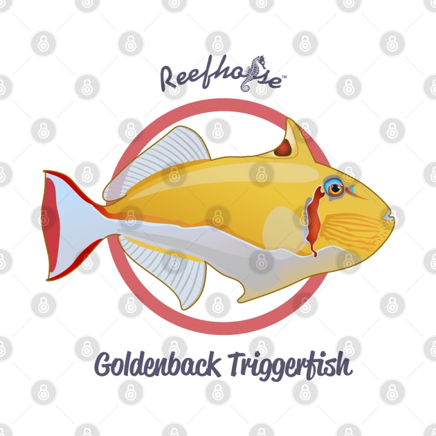 Golden Triggerfish by Reefhorse