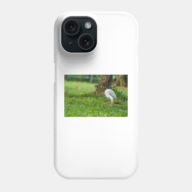 Cattle Egret 4 Phone Case by KensLensDesigns