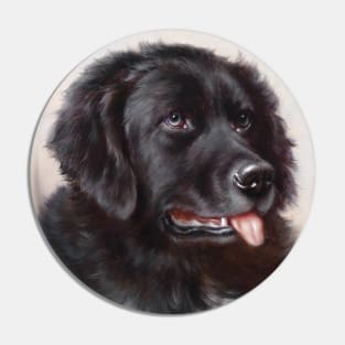 Newfoundland by Carl Reichert Pin