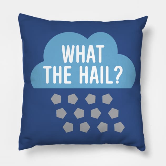 What The Hail? Pillow by oddmatter