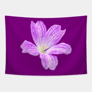 Little Geranium Tapestry