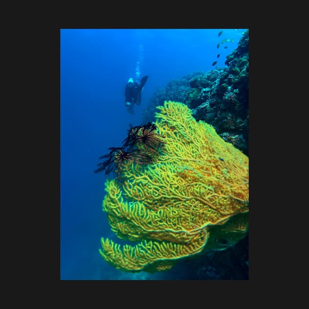 scuba diver and yellow sea fan by likbatonboot