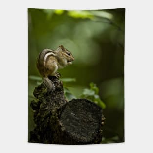 Chipmunk Tapestry