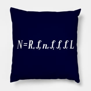 The Drake Equation Pillow