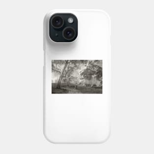 Misty Morning, Adelaide Hills, South Australia Phone Case