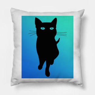 Black Cat Aqua Pillow