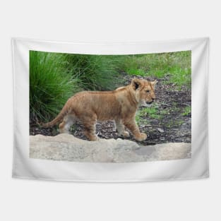 Lion Cub Tapestry