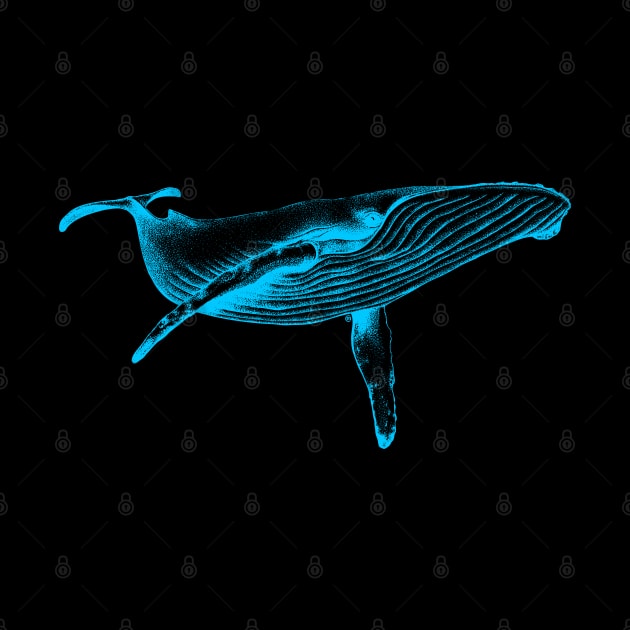 Blue Whale (Neon) by VectorInk