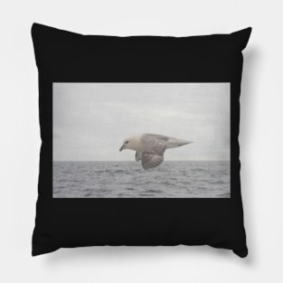 Fulmar Fly Past Pillow