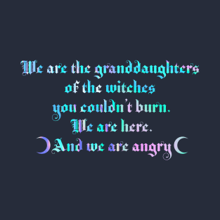 We are the granddaughters of the witches you couldn't burn 2.0 T-Shirt