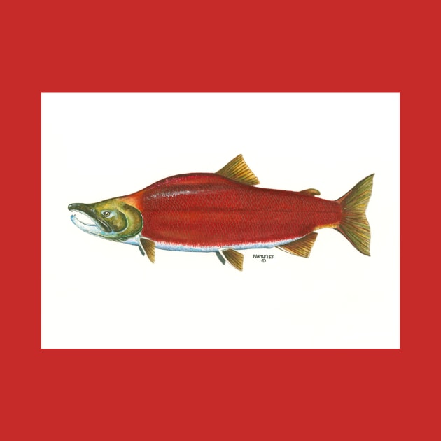 sockeye by Dave Bartholet Wildlife Art