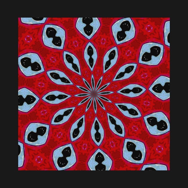 Patterned Kaleidoscope in Red and Light Blue by Sarah Curtiss