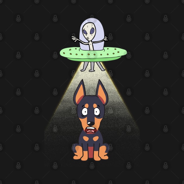 Funny german shepherd is being abducted by aliens by Pet Station