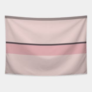 A fashionable mixture of Wenge, Spanish Gray, Lotion Pink and Soft Pink stripes. Tapestry